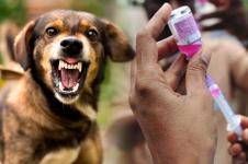 ประชาสัมพันธ์การลงทะเบียนรับวัคซีนป้องกันโรคพิษสุนัขบ้า