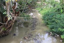 ทน.แม่สอด ลงพื้นที่ดำเนินการจัดเก็บขยะบริเวณใต้สะพานข้ามลำห้วยแม่สอด