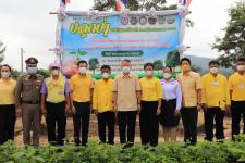 นายกฯนครแม่สอด เข้าร่วมเป็นเกียรติ โครงการ/กิจกรรม เนื่องในโอกาสวันเฉลิมพระชนมพรรษา 70 พรรษา 28 กรกฎาคม 2565 พระบาทสมเด็จพระปรเมนทรรามาธิบดี ศรีสินทรมหาวชิราลงกรณ พระวชิรเกล้าเจ้าอยู่หัว (ปล่อยปลา/ปลูกต้นไม้)