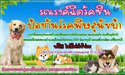 ทน.แม่สอด โดย กองสาธารณสุขและสิ่่งแวดล้อม ออกพื้นที่ให้บริการฉีดวัคซีนป้องกันโรคพิษสุนัขบ้า แก่สุนัขและแมว ในเขตเทศบาลนครแม่สอด ทั้ง 20 ชุมชน