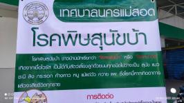 ทน.แม่สอด ให้บริการฉีดยาวัคซีนป้องกันโรคพิษสุนัขบ้าให้กับสุนัขและแมว พร้อมลงทะเบียนสัตว์เลี้ยง (รอบเก็บตก)