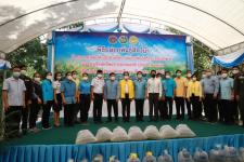 เทศบาลนครแม่สอด เข้าร่วมเป็นเกียรติพิธีปล่อยพันธุ์สัตว์น้ำเนื่องในวันประมงแห่งชาติ ประจำปี 2565