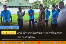 ทน.แม่สอด ลงพื้นที่ตรวจเยี่ยมการบริหารจัดการโรงฆ่าสัตว์ เทศบาลนครแม่สอด