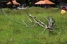 ทน.แม่สอด ร่วมกับ กรมโยธาธิการและผังเมือง ลงพื้นที่ติดตามความคืบหน้างานก่อสร้างพระตำหนักสมเด็จพระนเรศวรมหาราช และศาลหลักเมือง อำเภอแม่สอด จังหวัดตาก