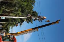 ทน.แม่สอด ร่วมกับการไฟฟ้าส่วนภูมิภาคย้ายเสาไฟฟ้า และปรับปรุงภูมิทัศน์โดยรอบสำนักงานเทศบาลนครแม่สอด