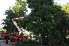 ทน.แม่สอด ร่วมกับการไฟฟ้าส่วนภูมิภาคย้ายเสาไฟฟ้า และปรับปรุงภูมิทัศน์โดยรอบสำนักงานเทศบาลนครแม่สอด