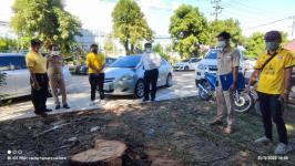 ทน.แม่สอด ลงพื้นที่ติดตามการปรับปรุงที่จอดรถและภูมิทัศน์เทศบาลนครแม่สอด