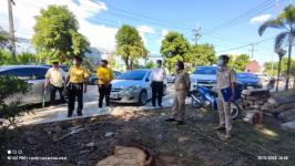 ทน.แม่สอด ลงพื้นที่ติดตามการปรับปรุงที่จอดรถและภูมิทัศน์เทศบาลนครแม่สอด