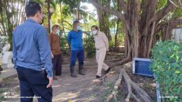 ทน.แม่สอด ลงพื้นที่ติดตามการปรับปรุงที่จอดรถและภูมิทัศน์เทศบาลนครแม่สอด