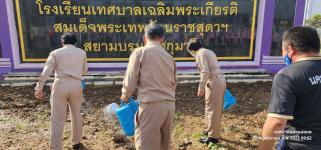 ทน.แม่สอด ร่วมกิจกรรมหว่านเมล็ดพันธุ์ปอเทือง หน้าโรงเรียนเทศบาลเฉลิมพระเกียรติสมเด็จพระเทพรัตนราชสุดา ฯ สยามบรมราชกุมารี สังกัดเทศบาลนครแม่สอด 
