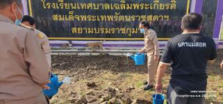 ทน.แม่สอด ร่วมกิจกรรมหว่านเมล็ดพันธุ์ปอเทือง หน้าโรงเรียนเทศบาลเฉลิมพระเกียรติสมเด็จพระเทพรัตนราชสุดา ฯ สยามบรมราชกุมารี สังกัดเทศบาลนครแม่สอด 