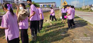 ทน.แม่สอด ร่วมกิจกรรมหว่านเมล็ดพันธุ์ปอเทือง หน้าโรงเรียนเทศบาลเฉลิมพระเกียรติสมเด็จพระเทพรัตนราชสุดา ฯ สยามบรมราชกุมารี สังกัดเทศบาลนครแม่สอด 
