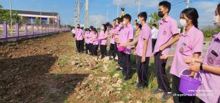 ทน.แม่สอด ร่วมกิจกรรมหว่านเมล็ดพันธุ์ปอเทือง หน้าโรงเรียนเทศบาลเฉลิมพระเกียรติสมเด็จพระเทพรัตนราชสุดา ฯ สยามบรมราชกุมารี สังกัดเทศบาลนครแม่สอด 