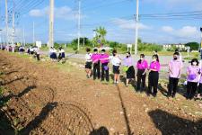 ทน.แม่สอด ร่วมกิจกรรมหว่านเมล็ดพันธุ์ปอเทือง หน้าโรงเรียนเทศบาลเฉลิมพระเกียรติสมเด็จพระเทพรัตนราชสุดา ฯ สยามบรมราชกุมารี สังกัดเทศบาลนครแม่สอด 