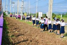 ทน.แม่สอด ร่วมกิจกรรมหว่านเมล็ดพันธุ์ปอเทือง หน้าโรงเรียนเทศบาลเฉลิมพระเกียรติสมเด็จพระเทพรัตนราชสุดา ฯ สยามบรมราชกุมารี สังกัดเทศบาลนครแม่สอด 