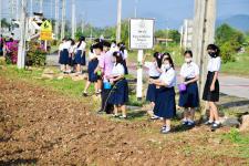 ทน.แม่สอด ร่วมกิจกรรมหว่านเมล็ดพันธุ์ปอเทือง หน้าโรงเรียนเทศบาลเฉลิมพระเกียรติสมเด็จพระเทพรัตนราชสุดา ฯ สยามบรมราชกุมารี สังกัดเทศบาลนครแม่สอด 