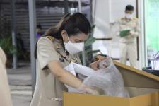 ทน.แม่สอด นับผลการเลือกตั้งสมาชิกสภาเทศบาล เขตเลือกตั้งที่ 4 (แทนตำแหน่งที่ว่าง) อย่างไม่เป็นทางการ 