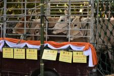 ทน.แม่สอด ร่วมพิธีปล่อยชีวิตสัตว์ และเจริญจิต ภาวนา เพื่อถวายพระพรแด่สมเด็จพระเจ้าลูกเธอ เจ้าฟ้าพัชรกิติยาภา นเรนทิราเทพยวดี กรมหลวงราช สาริณีสิริพัชร มหาวัชรราชธิดา