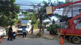 ทน.แม่สอด ลงพื้นที่ตัดต้นไม้ กิ่งไม้ที่พาดทับสายไฟฟ้า สายเคเบิ้ลริมทางในเขตเทศบาลนครแม่สอด