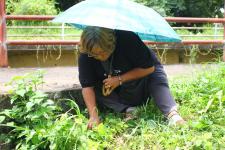 เทศบาลนครแม่สอด ดำเนินโครงการ ขุดลอกลำห้วยแม่สอด เพื่อเฉลิมพระเกียรติสมเด็จพระเจ้าอยู่หัวมหาวชิราลงกรณ บดินทรเทพยวรางกูร