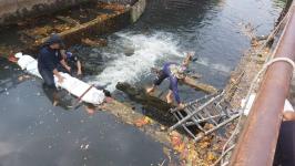 ทน.แม่สอด ลงพื้นที่ดำเนินการเปิดทางน้ำไหล สะพานหลังโรงเรียนเทศบาลวัดมณีไพรสณฑ์ 