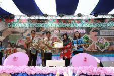 ทน.แม่สอด จัดโครงการประเพณีอาหารพื้นเมืองท้องถิ่น เทศบาลนครแม่สอด ประจำปี 2566