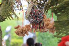 ทน.แม่สอด จัดโครงการประเพณีอาหารพื้นเมืองท้องถิ่น เทศบาลนครแม่สอด ประจำปี 2566