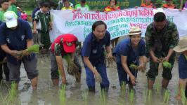 นายกเทศมนตรีนครแม่สอด จัดโครงการ ลงแขกทำนาข้าวอินทรีย์ อนุรักษ์สิ่งแวดล้อมอย่างยั่งยืน