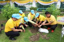 เทศบาลนครแม่สอด จัดกิจกรรมจิตอาสาปลูก “ต้นรวงผึ้ง” ต้นไม้มงคลด้วยหัวใจเฉลิมพระเกียรติ