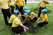 เทศบาลนครแม่สอด จัดกิจกรรมจิตอาสาปลูก “ต้นรวงผึ้ง” ต้นไม้มงคลด้วยหัวใจเฉลิมพระเกียรติ