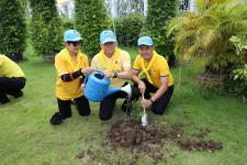 เทศบาลนครแม่สอด จัดกิจกรรมจิตอาสาปลูก “ต้นรวงผึ้ง” ต้นไม้มงคลด้วยหัวใจเฉลิมพระเกียรติ