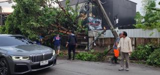 ทน.แม่สอด ลงพื้นที่สำรวจจากผลกระทบของพายุฤดูร้อน 