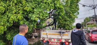 ทน.แม่สอด ลงพื้นที่สำรวจจากผลกระทบของพายุฤดูร้อน 