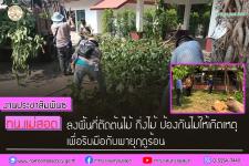 ทน.แม่สอด ลงพื้นที่ตัดต้นไม้ กิ่งไม้ ป้องกันไม่ให้เกิดเหตุ เพื่อรับมือกับพายุฤดูร้อน ที่อาจเกิดขึ้นอีกในเขตเทศบาลนครแม่สอด