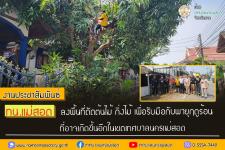 ทน.แม่สอด ลงพื้นที่ตัดต้นไม้ กิ่งไม้ เพื่อรับมือกับพายุฤดูร้อนที่อาจเกิดขึ้นอีกในเขตเทศบาลนครแม่สอด