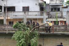 ทน.แม่สอด จัดกิจกรรมจิตอาสาบำเพ็ญสาธารณประโยชน์เนื่องในโอกาสวันเฉลิมพระชนมพรรษาสมเด็จพระนางเจ้าฯ พระบรมราชินี 