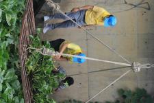 ทน.แม่สอด จัดกิจกรรมจิตอาสาบำเพ็ญสาธารณประโยชน์เนื่องในโอกาสวันเฉลิมพระชนมพรรษาสมเด็จพระนางเจ้าฯ พระบรมราชินี 