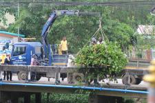 ทน.แม่สอด จัดกิจกรรมจิตอาสาบำเพ็ญสาธารณประโยชน์เนื่องในโอกาสวันเฉลิมพระชนมพรรษาสมเด็จพระนางเจ้าฯ พระบรมราชินี 