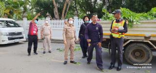 ทน.แม่สอด ลงพื้นที่ดำเนินการตัดต้นไม้และกิ่งไม้ ชุมชนวัดหลวง เขตเทศบาลนครแม่สอด