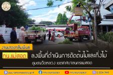 ทน.แม่สอด ลงพื้นที่ดำเนินการตัดต้นไม้และกิ่งไม้ ชุมชนวัดหลวง เขตเทศบาลนครแม่สอด