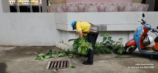 ทน.แม่สอด ร่วมกิจกรรมจิตอาสาพัฒนาสิ่งแวดล้อมป้องกันควบคุมโรคไข้เลือดออก และมาลาเรีย 