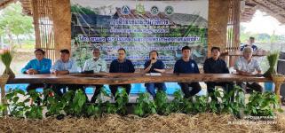 ทน.แม่สอด จัดโครงการผู้สูงอายุอุ่นใจ ใช้สมุนไพรใกล้ตัวอย่างถูกวิธี