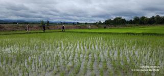 ทน.แม่สอด จัดโครงการผู้สูงอายุอุ่นใจ ใช้สมุนไพรใกล้ตัวอย่างถูกวิธี