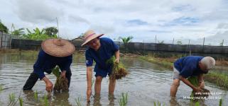 ทน.แม่สอด จัดโครงการผู้สูงอายุอุ่นใจ ใช้สมุนไพรใกล้ตัวอย่างถูกวิธี
