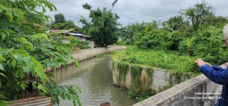 ทน.แม่สอด ลงพื้นที่ติดตามการกำจัดผักตบชวา วัชพืชและสิ่งกีดขวางทางน้ำห้วย ชุมชนสองแคว 2