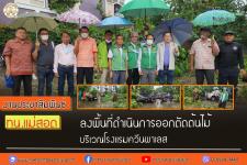ทน.แม่สอด ลงพื้นที่ดำเนินการออกตัดต้นไม้ บริเวณโรงแรมควีนพาเลส