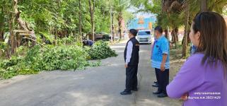 ทน.แม่สอด ดำเนินการตัดกิ่งไม้ภายในวัดบุญญาวาส