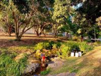 Foresta Cafe & Hangout