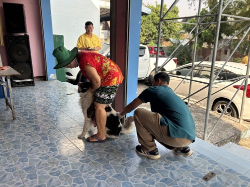เทศบาลนครแม่สอด ลงพื้นที่ออกหน่วยฉีดวัคซีนป้องกันโรคพิษสุนัขบ้าทั้ง 20 ชุมชน ในเขตเทศบาลนครแม่สอด