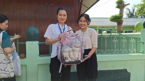เทศบาลนครแม่สอด ลงพื้นที่ออกหน่วยฉีดวัคซีนป้องกันโรคพิษสุนัขบ้า ทั้ง 20 ชุมชน ในเขตเทศบาลนครแม่สอด